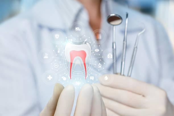 Professional  Holistic Dental Services in Ovilla, TX